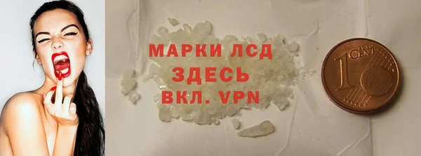 ECSTASY Алзамай