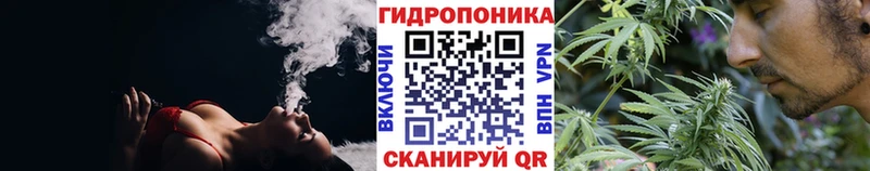 сколько стоит Ветлуга Шишки марихуана Bruce Banner